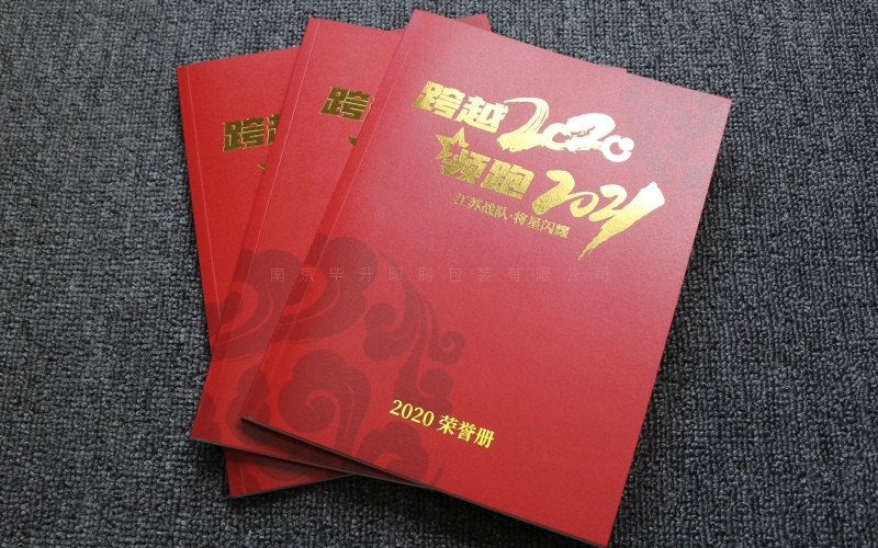 中国人寿2020年年会荣誉手册